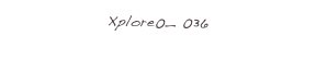 Xplore0_ 036